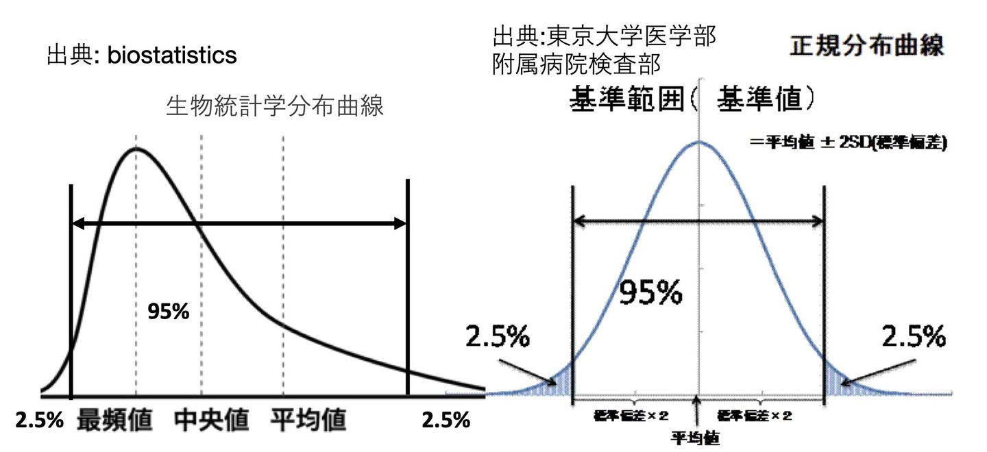 基準値 フェリチン検査