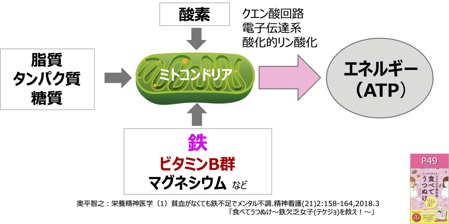 アスリート　フェリチン　貧血　鉄不足　鉄欠乏　潜在性鉄欠乏症　フェリチン検査