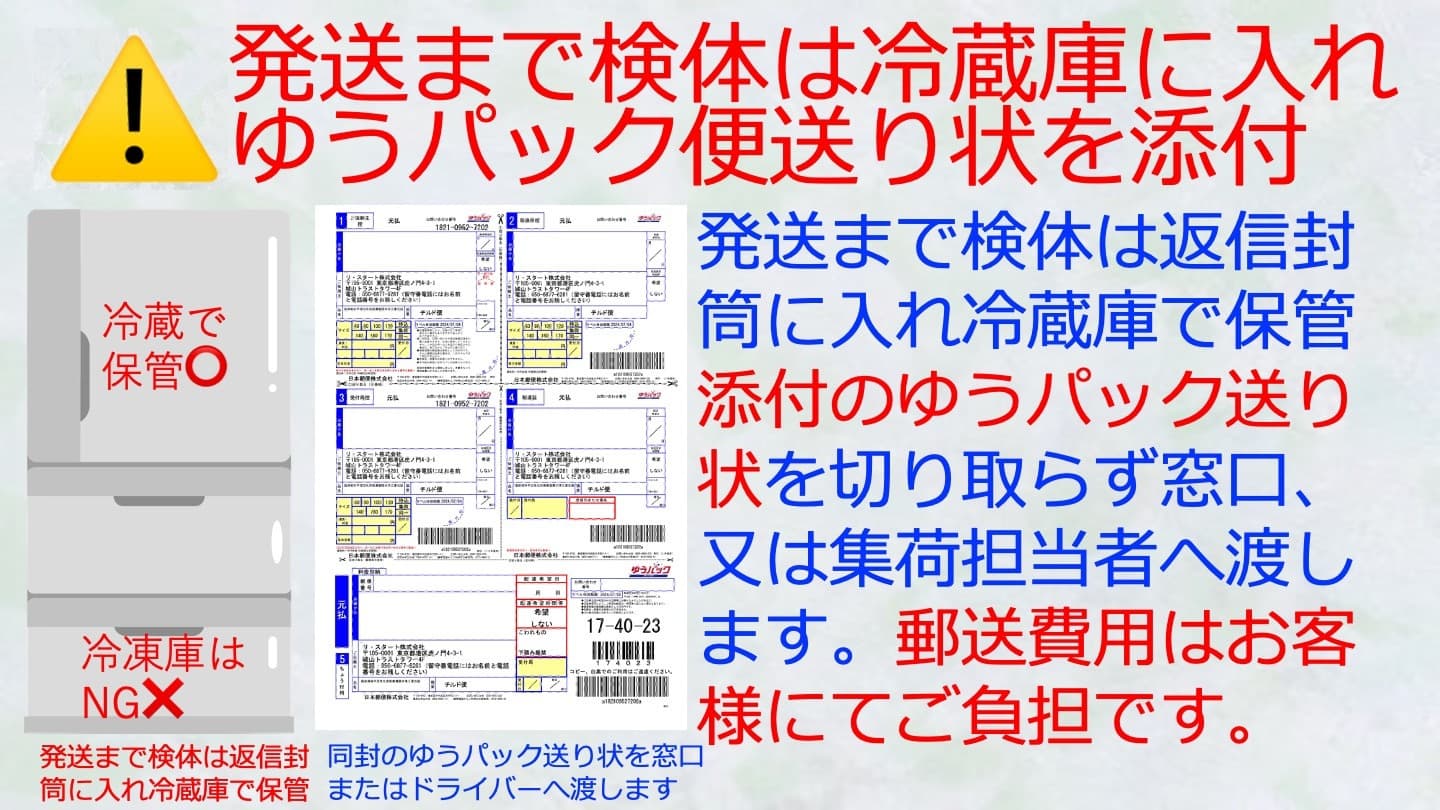 img20240602102014223033.jpg