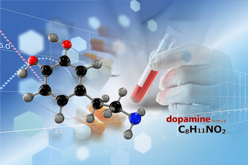 ドーパミン 脳神経伝達物質 メンタルヘルス