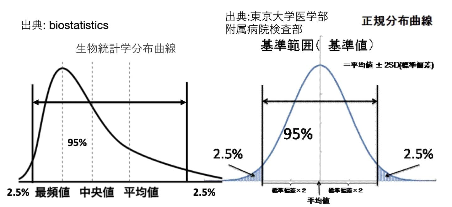 基準値　フェリチン検査