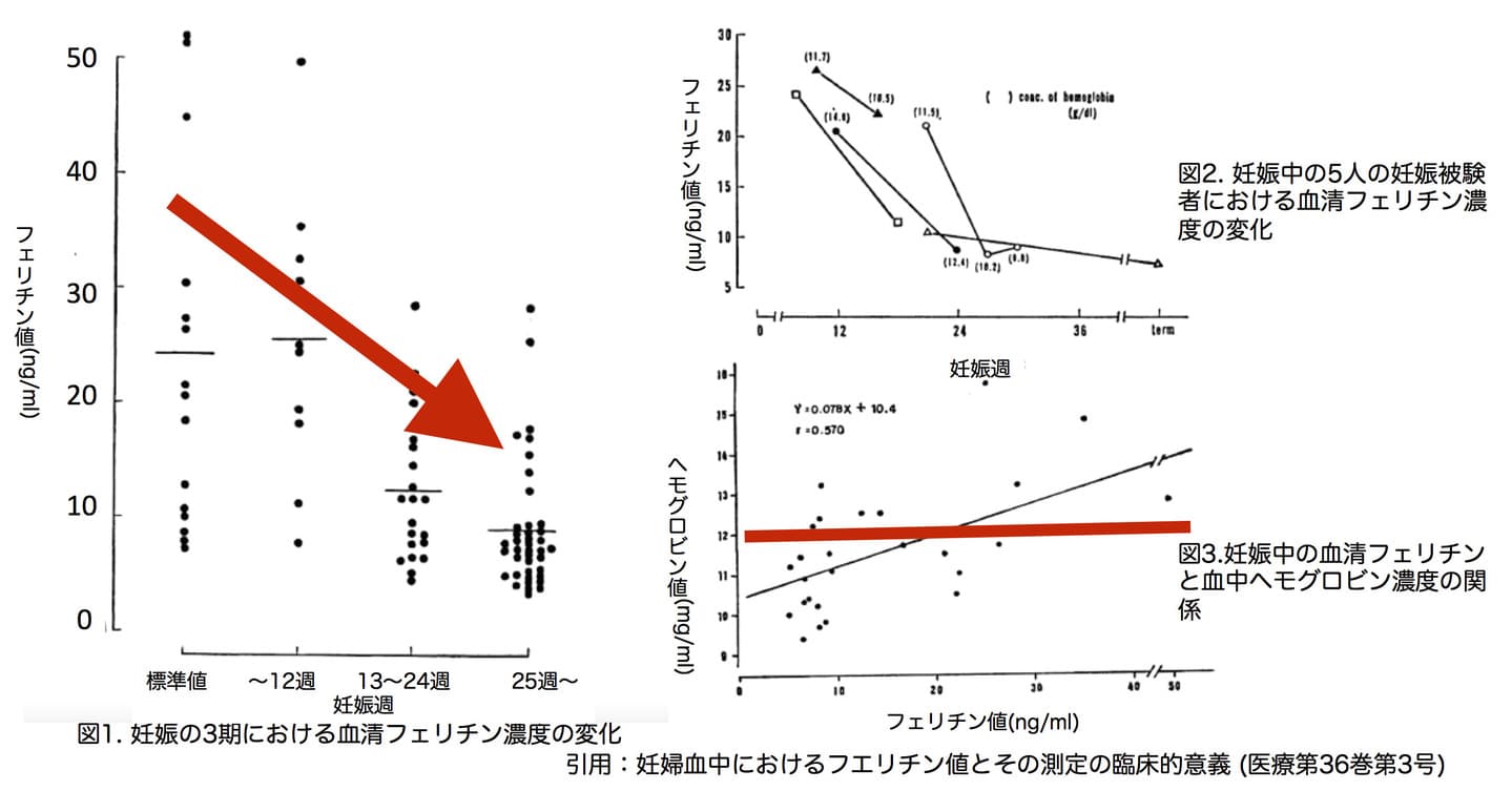 妊娠中のフェリチン値推移　産後うつ　妊婦貧血