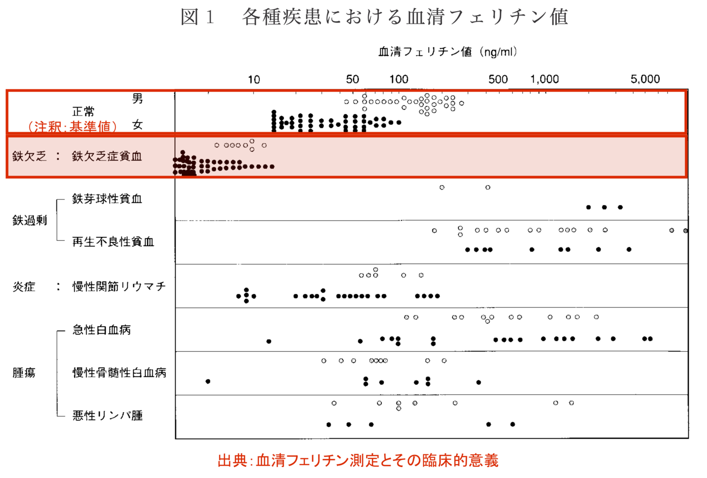 基準値　フェリチン検査