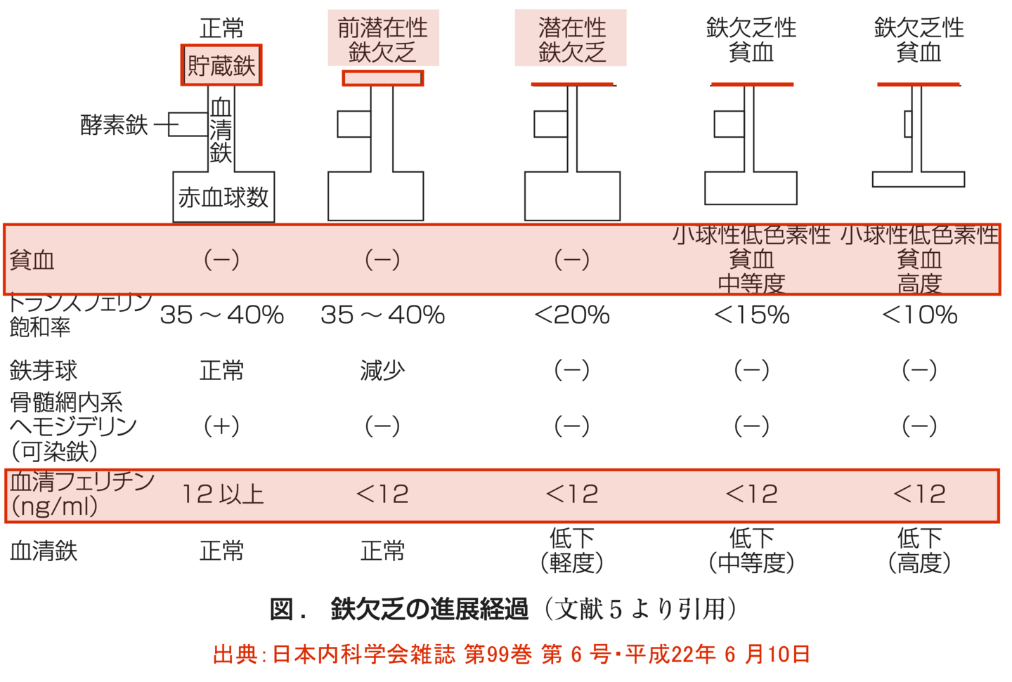 不定愁訴の原因はフェリチン不足　基準値　フェリチン検査