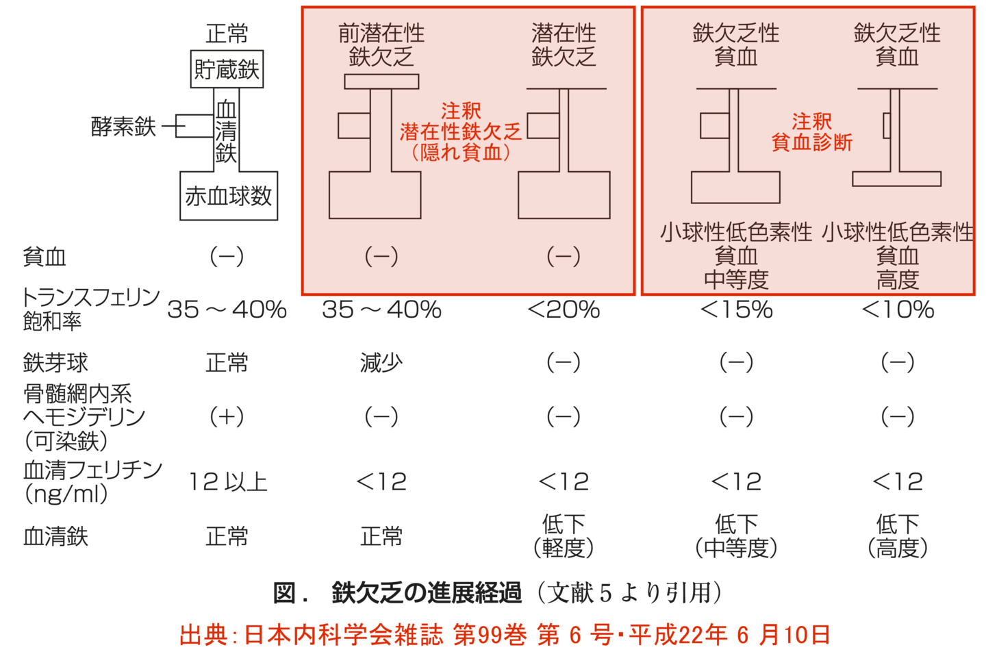 基準値　フェリチン検査