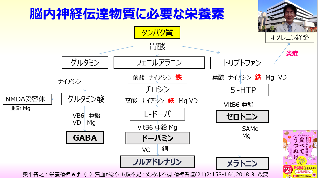 アスリートメンタル強化　フェリチン検査 脳内神経伝達物質 奥平先生 分子栄養