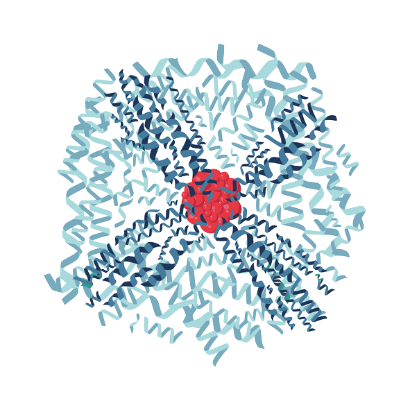 フェリチン フェリチン検査 自宅でフェリチン検査 臨床検証 炎症・腫瘍がある時のフェリチン値分布