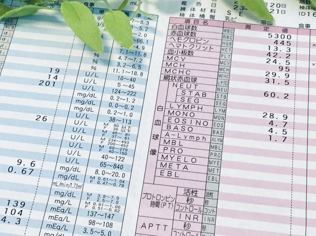 慢性不調や不定愁訴の原因がわからない理由　フェリチン検査キット