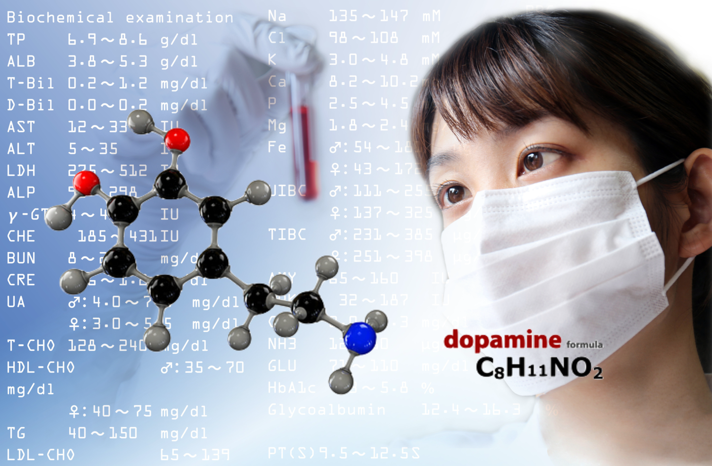 美肌フェリチン検査