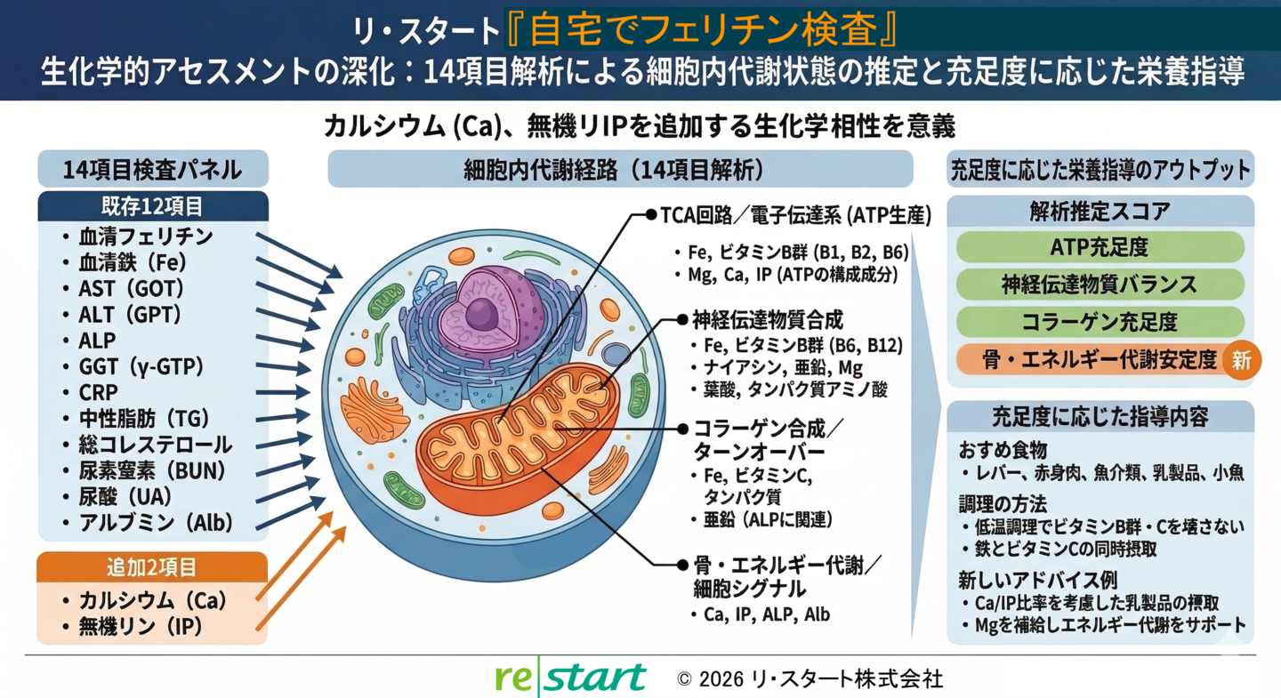 リ・スタート『自宅でフェリチン検査』 生化学的アセスメントの深化：14項目解析による細胞内代謝状態の推定と充足度に応じた栄養指導