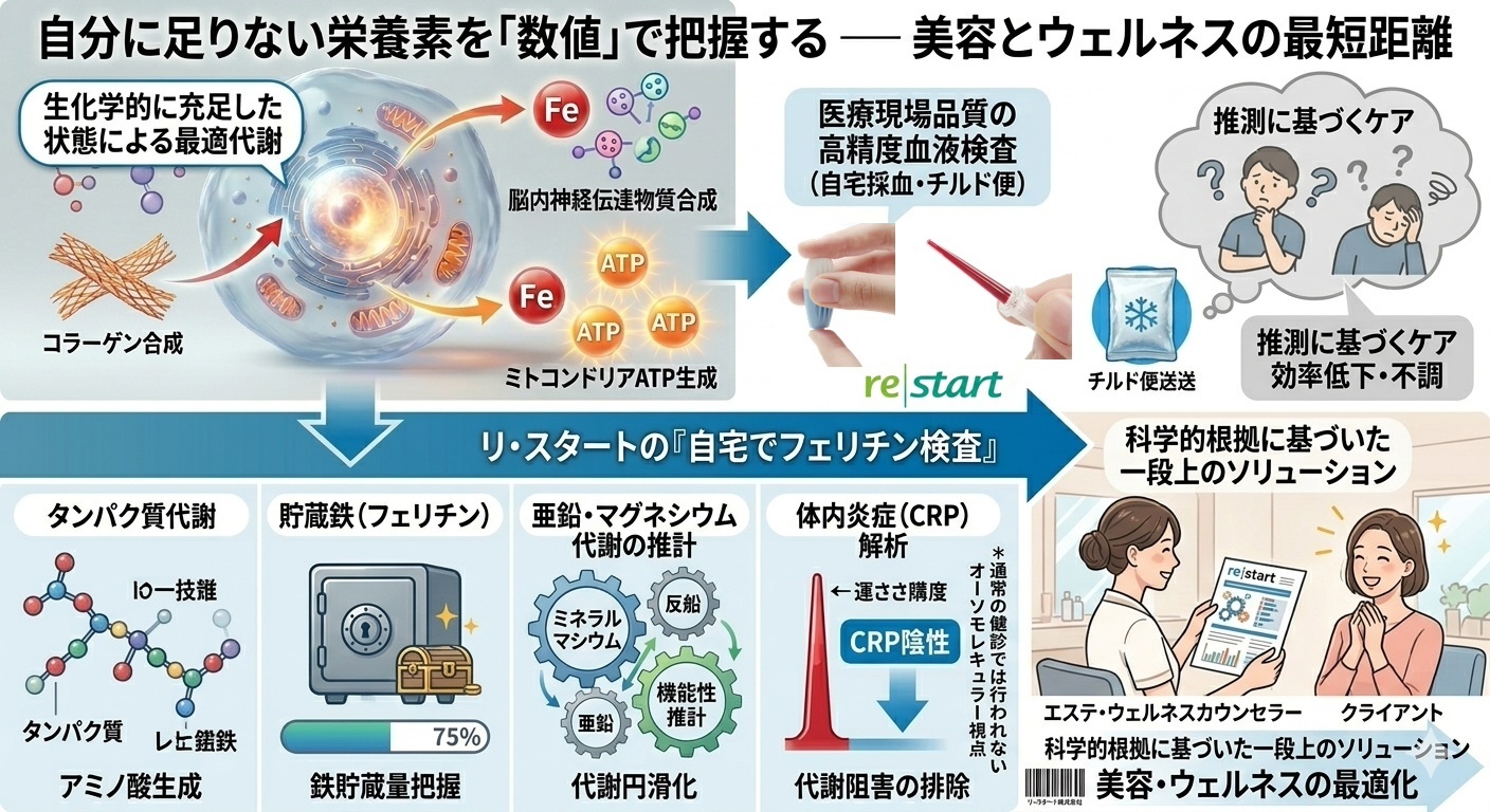 自分に足りない栄養素を「数値」で把握する一美容とウェルネスの最短距離　エステサロンやウェルネス施設におけるカウンセリングを、科学的根拠に基づいた一段上のソリューションへと進化
