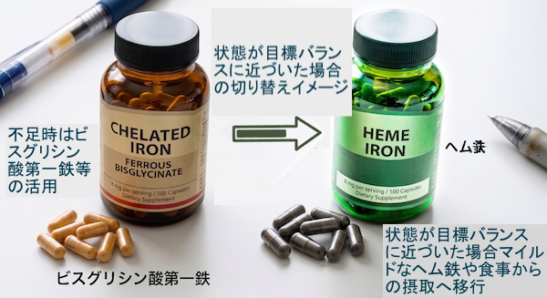 【集中的補給期】: セルフチェック等で鉄の蓄えと稼働率（TSAT）が明らかに低下している期間に、胃腸にやさしいアミノ酸結合鉄（キレート鉄：ビスグリシン酸第一鉄）やヘム鉄サプリを期間を定めて集中的に補う。 【維持・調和期】: マイ・ベストバランス領域（目標ライン）に達したら、キレート鉄などの単一サプリメントに頼らず、ヘム鉄サプリサプリや、赤身肉、カツオ、あさり、緑黄色野菜などビタミンCやタンパク質を合わせた自然な食事からのマイルドな補給へ切り替える。