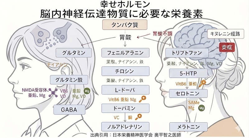 すこやかなココロを支える「3大脳内物質」と栄養素
